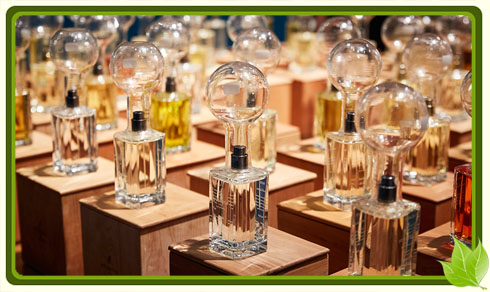 выставка парфюмерии